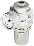 PneumaticPlus SAR3000M-N03BG Air Pressure Regulator, 3/8 Pipe Size, NPT with Gauge and Bracket by Pn