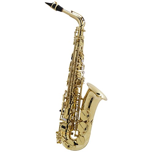 H.Selmer ALTO SAX AXOS セルマー アルトサックス アクソス Seles AXOS