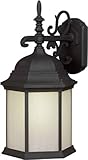 Forte Lighting 17009-01-04 Energy Efficient 1LT CFL Exterior Wall Lantern Black Finish with Frosted 