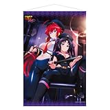 ハイスクールD×D HERO B2タペストリー / C