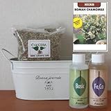 ローマンカモミールの栽培セット/豊作セット（液体肥料付き）プランターホワイト仕様