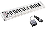 Roland ローランド/A-49 WH ホワイト 【DP-2ペダルセット！】 49鍵盤MIDIキーボード