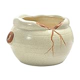 2つの小さなガーデンポットのセット創造的なポットポット多肉植物のポット[Q]