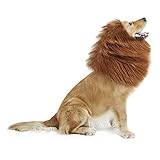 犬 ライオンに変身 ウィッグ 犬コスチューム 犬用 コスプレ キャップ かぶりもの リアル たてがみ 中型犬 大型犬 帽子 着ぐるみ おもしろい 変装グッズ ペット服 クリスマス ハロウイン 誕生日 パーティー 仮装グッズ 撮影 記念写真 道具 サイズ調節可能