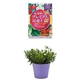 『瀬戸ヶ原花苑 花と野菜のプレミアム培養土 40L』と『花市場直送便 花苗 アレナリアモンタナ 12入』のセット
