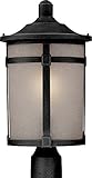 Artcraft Lighting AC8643BK St. Moritz Single-Head Post Light, Black [並行輸入品]