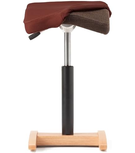 Balans Synergy スクエアシート Balans Synergy バランスシナジー スクエアシート 専用カバー付腰痛