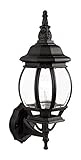 Livex Lighting 7518-04 Outdoor Wall Lantern with Clear Beveled Glass Shades, Black [並行輸入品]