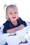Baby BooBear Baby 12's Seattle Skyline Seahawks Football Pink Lime Green Navy Minky Dot Baby Blanket
