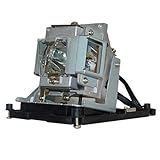 Original Manufacturer BenQ LCD Projector Lamp:5J.J2N05.011 [並行輸入品]
