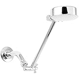 Plumb Craft 8683000B Plated Brass Fixed Showerhead, Chrome [並行輸入品]