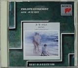 �T�e�B�E�A���o��