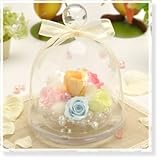 プリザーブドフラワー 花花 アンジーの庭 バラ (ガラスドーム 入り) お祝い プチギフト プレゼント ギフト (ドリームマカロン マルチ)
