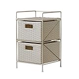 ラタン調 収納ラック2段 TME-01 DVDラック ブックラック (アイボリー)