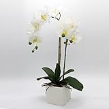 Artificial Flower Arrangements Centerpiece with 2 Bunch Orchidで花瓶