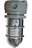 Class 1, Division 2 Chemical Resistant Compact Fluorescent Light - 26 Watts - Non-Metallic(-220 Volt