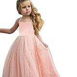 プリンセスドレスfor Baby Girl、sacow幼児用女の子レースプリンセスドレス舞台パーティーチュチュドレス服夏 100 ピンク
