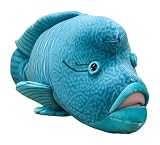 テイクオフ ぬいぐるみ 海と魚 ナポレオンフィッシュ
