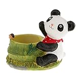 【ノーブランド 品】耐久性　樹脂　貪欲パンダ　サボテン　多肉植物　花　ベッド　ポット　ボックス　庭　プランター