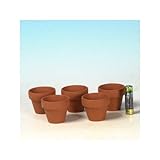 国産素焼き深鉢１．５号　５個セット