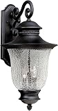 Forte Lighting 1726-03-04 Exterior Wall Light with Clear Crackle Glass Shades, Black [並行輸入品]