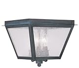 Livex Lighting 2549-61 Amwell 3-Light Outdoor Ceiling Mount, Charcoal by Livex Lighting