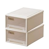 Fits フィッツケース 収納ケース まとめ買い2個セット リビング用 ミニ カプチーノ