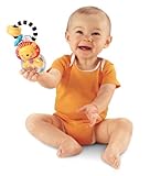 Fisher-Price Discover 'n Grow Lion Ring Rattle (Discontinued by Manufacturer) by Fisher-Price [並行輸入品