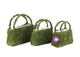 Super Moss 55500 Deco Purses Beaumont, Pack of 3 [並行輸入品]