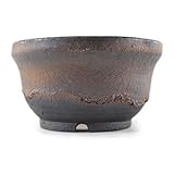 信楽焼 植木鉢 金彩浅 4号鉢 鉢幅12cm×高さ6.5cm 盆栽鉢 陶器鉢 盆栽妙