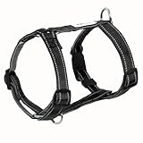 [LaLUCA GOODS] 犬 ハーネス 小型犬 中型犬 大型犬 抜けない 脱げない 抜けにくい エスケープガード 柴犬 おしゃれ かわいい 簡単 安心