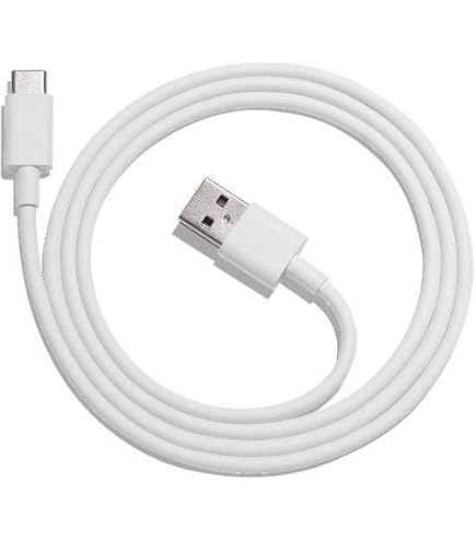 Amazon | Google USB Type-C ケーブル 2M [USB Type-C to C] USB C