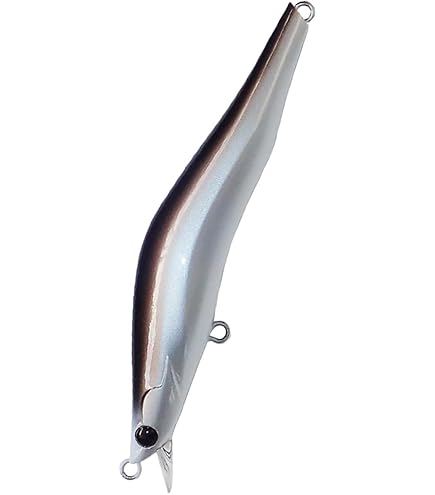 Amazon.co.jp: ブレイズアイ(Blazeye) グラヴィティエヴォルーツ 120HS