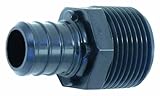 Poly Alloy PEX Male Adapter-3/4CFX3/4MPT PLY ADAPTER (並行輸入品)