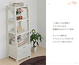 ラック オープンラック 小物収納 衣類収納 オープンハンガーシリーズ　ラック450