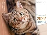 ねこのきもち大判カレンダー2022