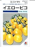 トマト イエローピコ タキイのミニトマト種です (グリーンデポ)