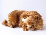 本物そっくりに眠る犬のぬいぐるみ｜パーフェクトペット｜ポメラニアン