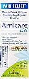 Boiron Arnicare Gel Value Pack, 2.6 Ounce Gel + 80 Pellet Tube, Homeopathic Medicine for Pain Relief [並行輸入品]
