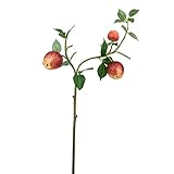 アップルブランチ FXFO0005RED