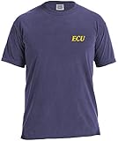 NCAA East Carolina Pirates状態野球レース半袖Tシャツ、スモール、グレープ