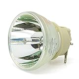 Rich Lighting プロジェクター 交換用 ランプ LP-LV24 CANON キヤノン LV-X420 LV-HD420 プロジェクター 交換用 ランプ【180日保証】