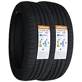 アプタニー(APTANY) サマータイヤ RA301 225/45R19 96W 2本セット