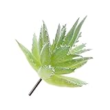 Lovoski 全16種類　現実的　人工多肉植物　葉　装飾　人工サボテン - タイプ５