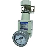 日本精器 精密減圧弁6A2K BN3RT110062K