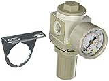 PneumaticPlus SAR2000M-N02BG Miniature Air Pressure Regulator 1/4" NPT - Gauge, Bracket [並行輸入品]