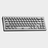 MelGeek REAL67 有線65%磁気スイッチゲーミングキーボード US配列 ラピッドトリガー&スナップタップ 0.01mm単位アクチュエーション調整 5層静音設計 ホットスワップ 1600万色RGB HIVEカスタム マルチOS対応 （透明グレー）