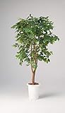 LION 人工植物　GB-211 品番54573