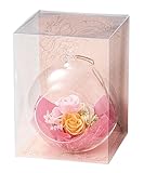 Paseo クリアケース入り プリザーブドフラワー ハンギングフラワー ピンク 12×12×H16cm S-18B-PK