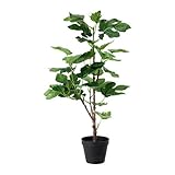 IKEA(イケア) FEJKA 50239914 人工観葉植物, イチジク